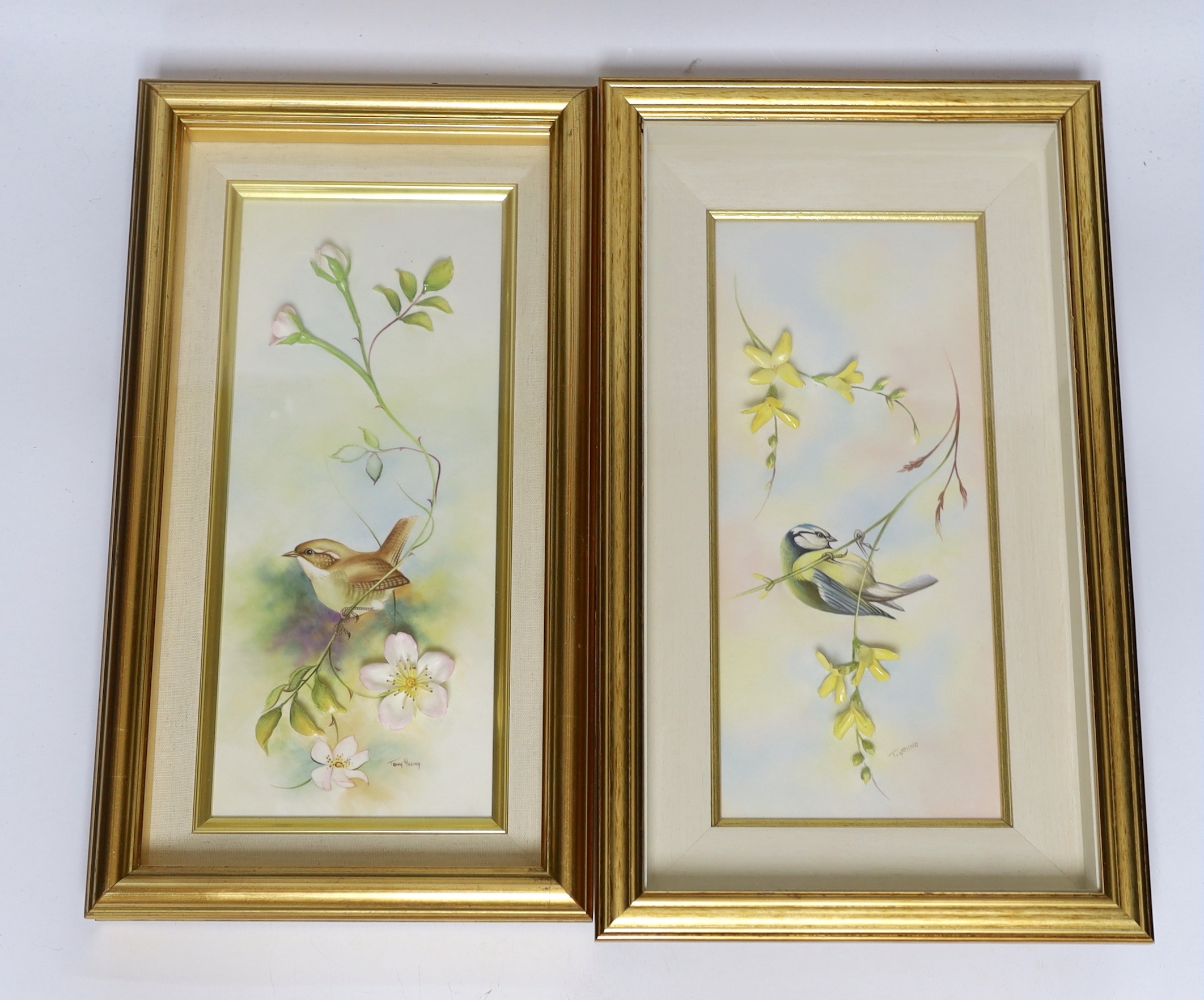 Bronté. A pair of framed porcelain plaques 'Wren' and 'Blue Tit' by Tony Young, limited edition 26/50 & 5/50, each overall 40cm x 22cm